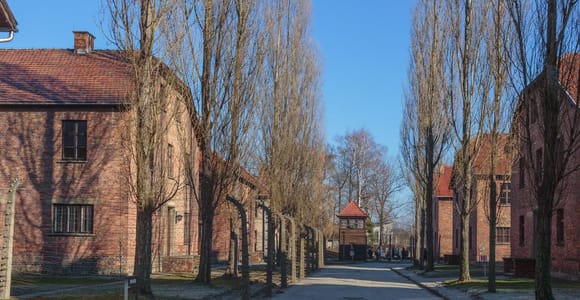 Krakow: Auschwitz-Birkenau Entry Ticket and Transfer