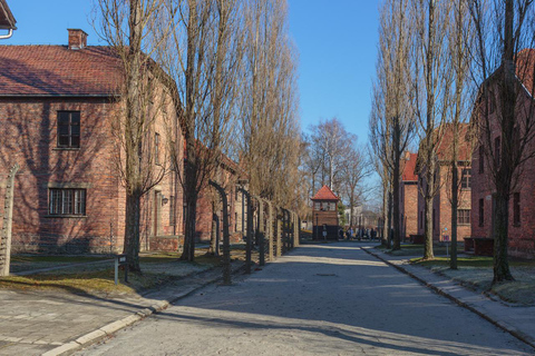 Krakau: Auschwitz-Birkenau Entry Ticket und TransferGruppentour mit Busabholung