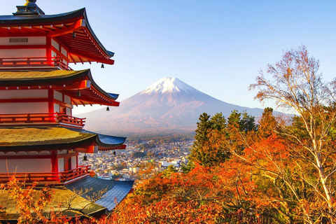 Tokyo: Mt Fuji&Chureito Pagoda&Lake Kawaguchi&Oshino Hakkai Free Karaage Chicken Set | 8AM Tokyo Station Departure