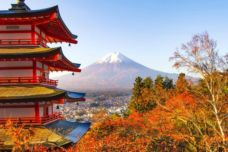 Tokyo: Mt Fuji&Chureito Pagoda&Lake Kawaguchi&Oshino Hakkai Free Karaage Chicken Set | 8AM Tokyo Station Departure