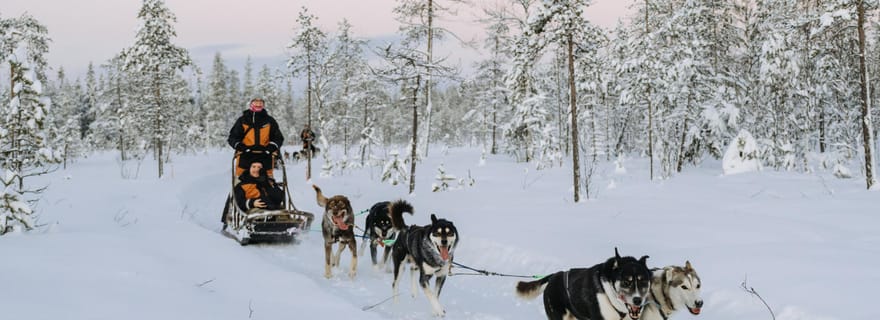 Rovaniemi : excursion en traîneau à chiens de 12 à 18 km, en petit groupe, pour adultes uniquement