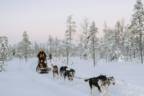 Rovaniemi: Small group Adults-Only 12-18km Husky Tour