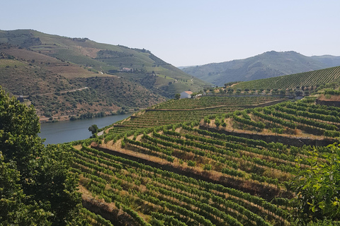 From Porto: Private Douro Valley Tour, Tasting, Boat, Lunch