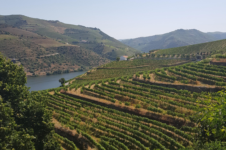 From Porto: Private Douro Valley Tour, Tasting, Boat, Lunch