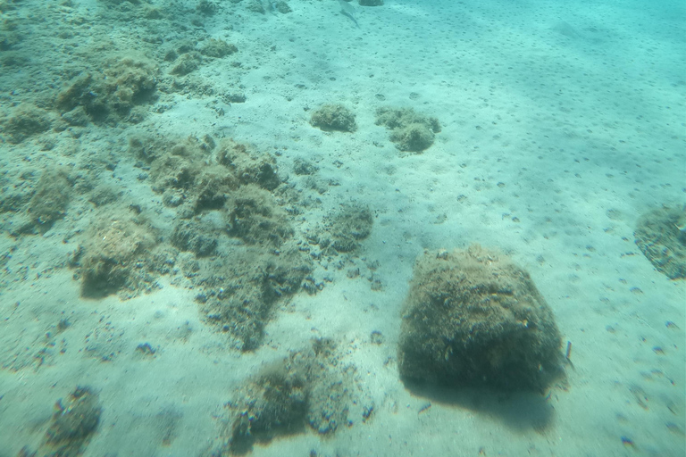 Private Elaphiti Islands Tailor-Made Boat Tour