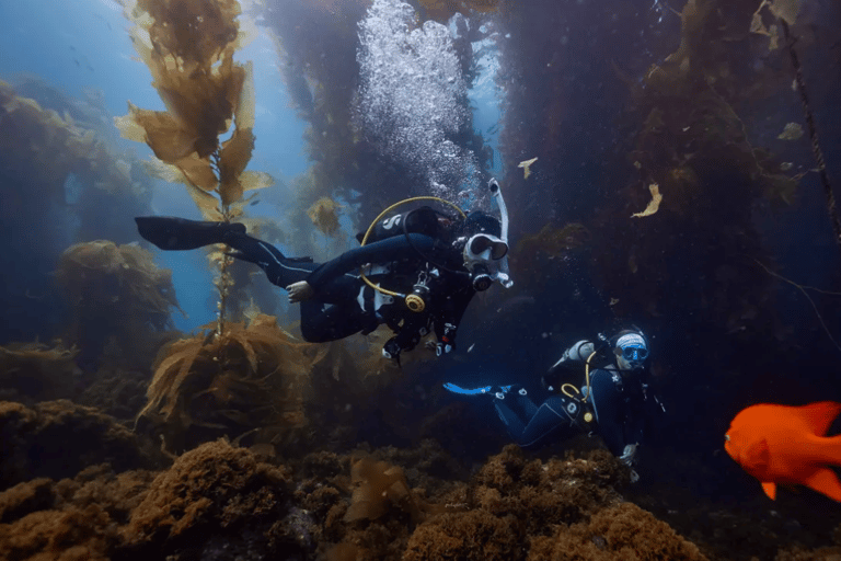 Private Catalina Island Beginner Scuba Adventure