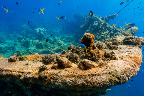 Coron: WWII Shipwrecks & Pass Island Snorkeling Tour