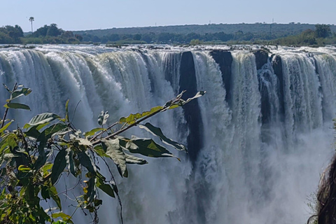 Vanuit Kaapstad: 3 Daagse Victoria Watervallen Tour