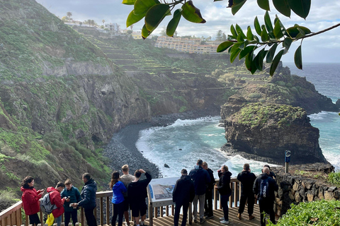 Puerto de la Cruz: Quad Tour with Off-Road Route, Viewpoints & Photos Single Quad (1 person per quad)