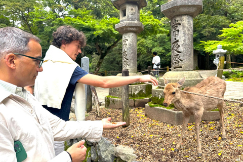 Nara: Hike Mt. Wakakusa and Encounter Wild Free-Roaming Deer