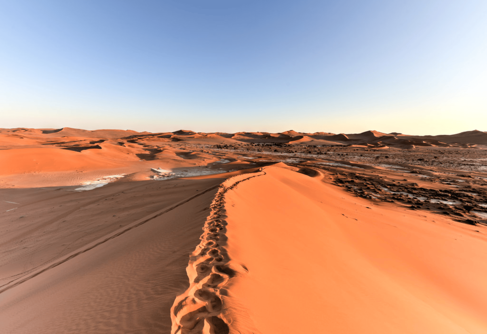 Sossusvlei: Geführte Tour bei Sonnenaufgang zu den Dünen und nach Deadvlei