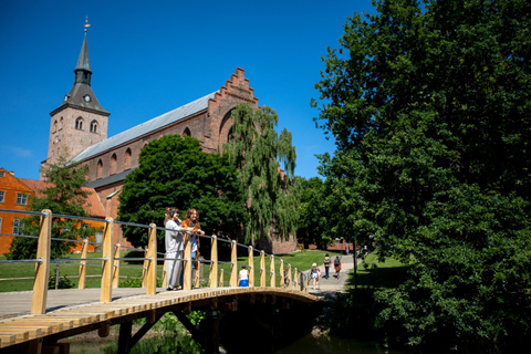 Caminhada Viking em Odense: Caminhada guiada por áudio com StoryHunt ⚔️Dinamarquês