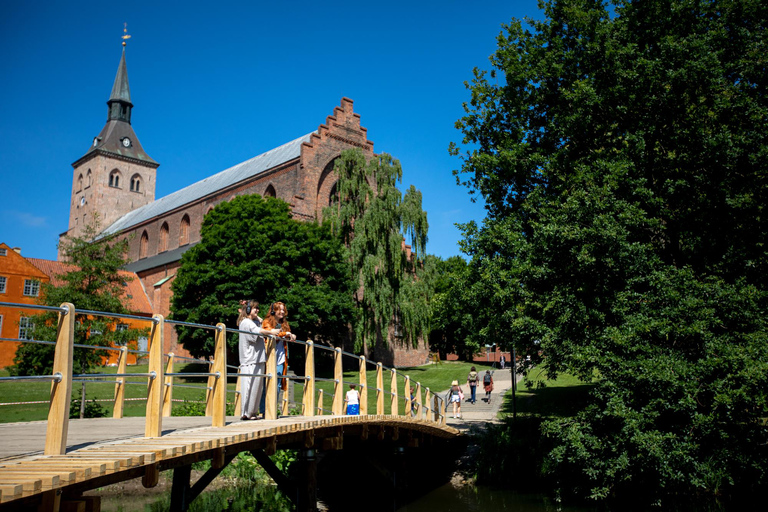 Odense Viking Walk: Self-guided Audio Walk with StoryHunt ⚔️ Danish