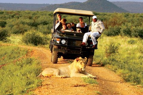 Excursión de un día completo a KwaZulu Hluhluwe-Imfolozi e iSimangalisoExcursión de día completo a KwaZulu Hluhluwe-Imfolozi e iSimangaliso