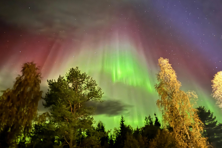VIP Northern Lights Aurora Chase – Levi, Finnish Lapland