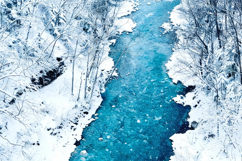 Sapporo 2-Month Special:Asahiyama Zoo & Snowy Landmarks Tour 8:10 am meet at JR Sapporo Station North exit