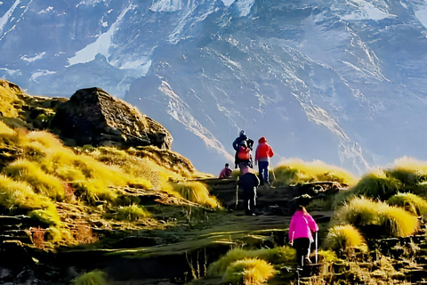 From Kathmandu: Annapurna Base Camp 7-Day Trek