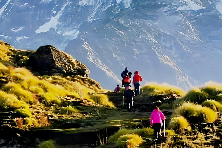 From Kathmandu: Annapurna Base Camp 7-Day Trek