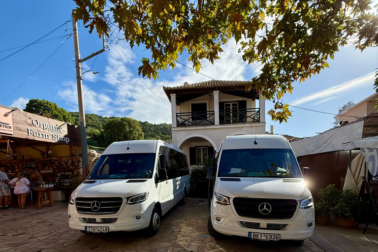 Zakynthos: Ultimate Experience to Shipwreck, Caves & Turtles Shipwreck and Turtles: Semi private tour
