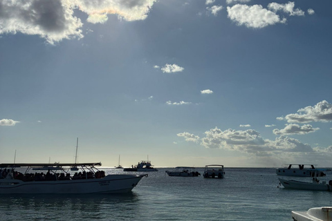 Punta Cana: Saona Island Trip by Catamaran with Lunch Punta Cana: Saona Island Excursion by Catamaran with Lunch