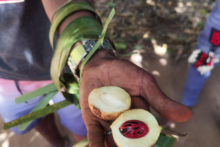 Zanzibar: Ilha de Mnemba e excursão à fazenda de especiarias, Jozani, The Rock