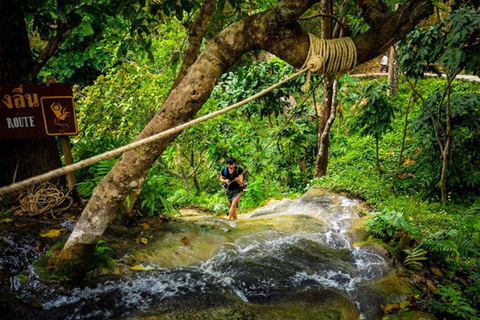 Doi Suthep-templet, orkidéodling och Sticky Waterfall med lunch