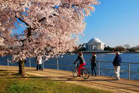 Washington: Historic Monuments and National Mall Bike Tour