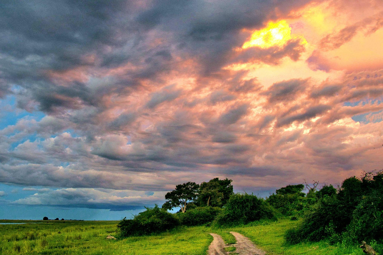 Unique Chobe Day Trip with 2 River Safaris
