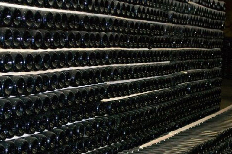 Champagne Region from Paris: Reims and Champagne Tasting