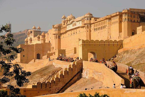 Excursión privada nocturna a Jaipur desde DelhiCon alojamiento en hotel de 3 estrellas