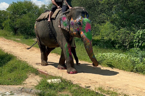 Jaipur: Hathigao Elephant Village Ride, Feeding, & Photos Riding, Feeding, Climbing And Photography with Elephant