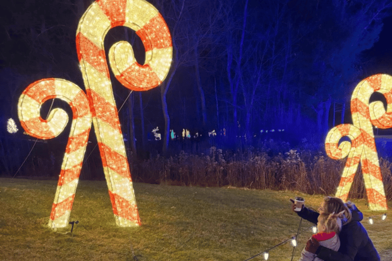 Derry, NH: LaBelle Lights Holiday Light Show Entry Ticket