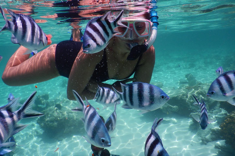 Zanzibar : Lagon bleu, restaurant rupestre, grotte et plage