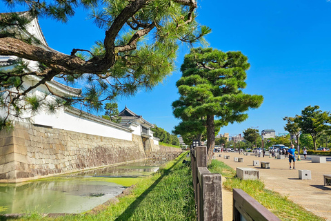 Kyoto : Visite guidée à pied du château de Nijo et du palais impérial