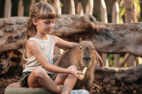Bali Zoo: Capybara Brunch & Observation Experience Capybara Brunch Experience with Transfer