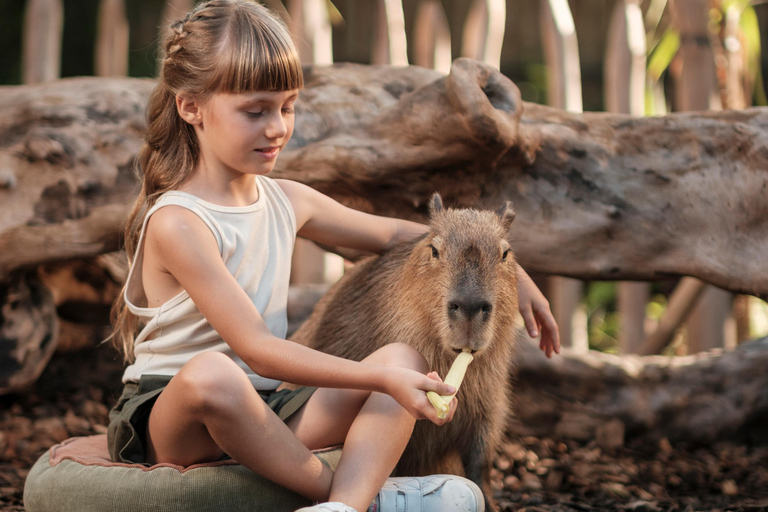 Bali Zoo: Capybara Brunch & Observation Experience Capybara Brunch Experience with Transfer