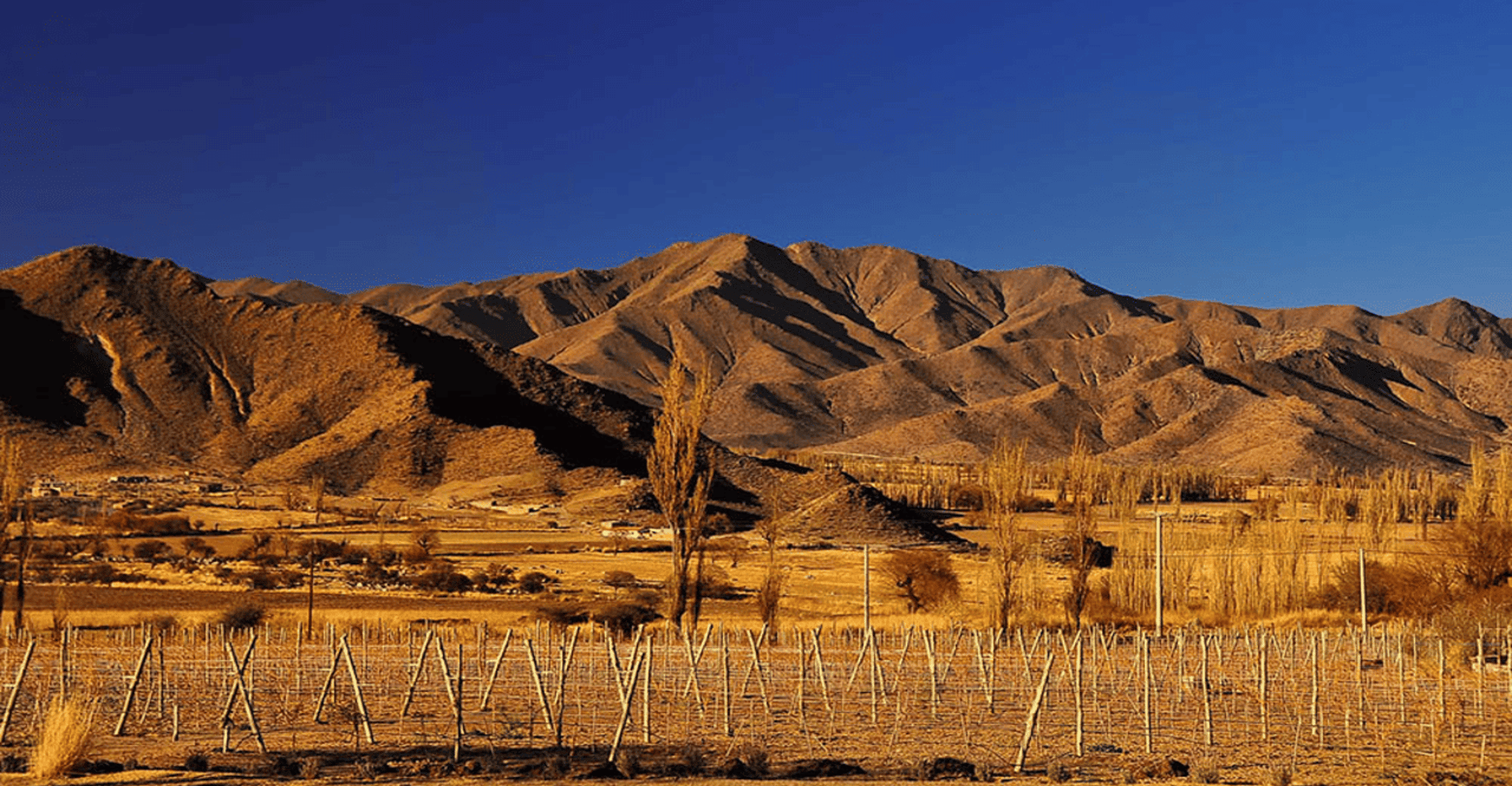 Visita al Parque Nacional Salta, Cachi y Los Cardones - Hizvo