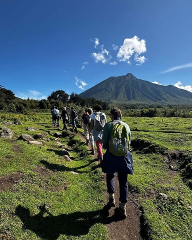 From Kigali: 2-Day Gorilla Trekking Safari in Rwanda