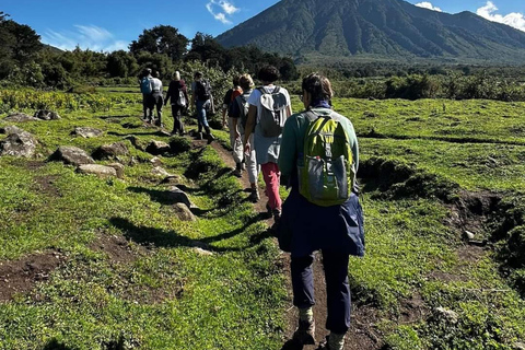 Vanuit Kigali: 2-daagse gorillatrektocht in Rwanda