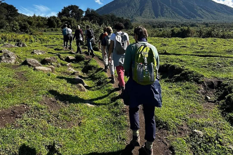 Vanuit Kigali: 2-daagse gorillatrektocht in Rwanda