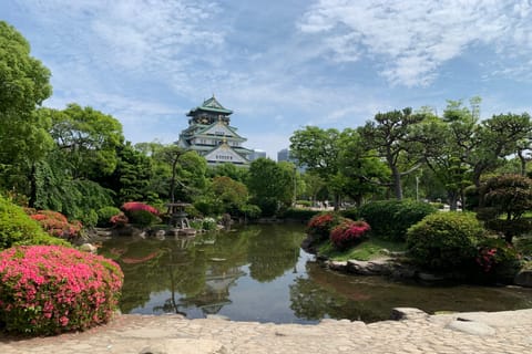 Osaka: Private Walking Tour with French-Speaking Guide - Image 2