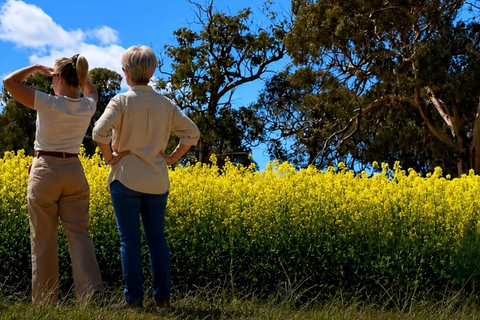 Follow the wildflower trail from Perth to New Norcia