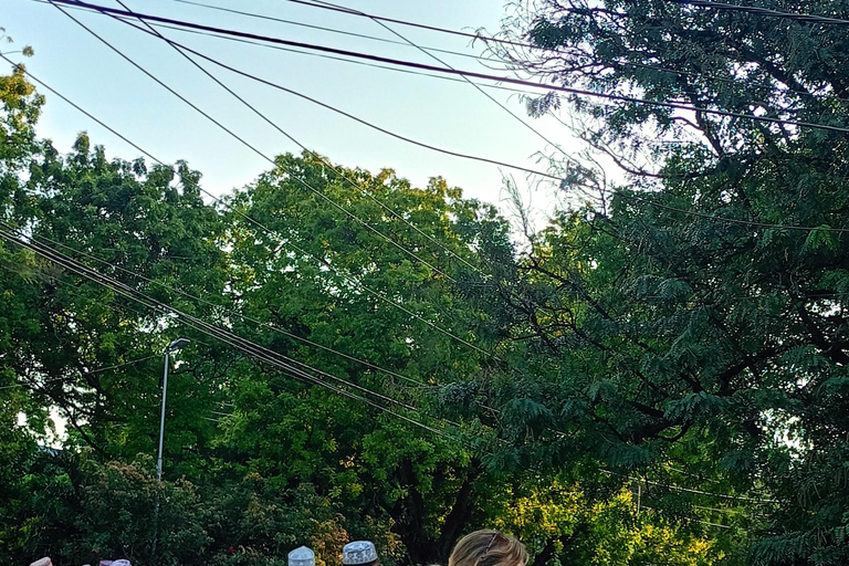 Mombasa num diaMombaça em um dia