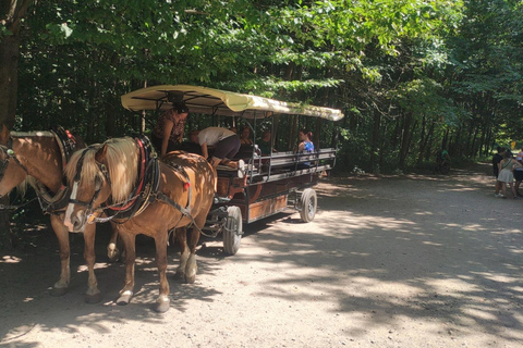 Bratislava: A Fairy Tale Day in Moravia’s Wine Country - CZ Private Group - from Bratislava