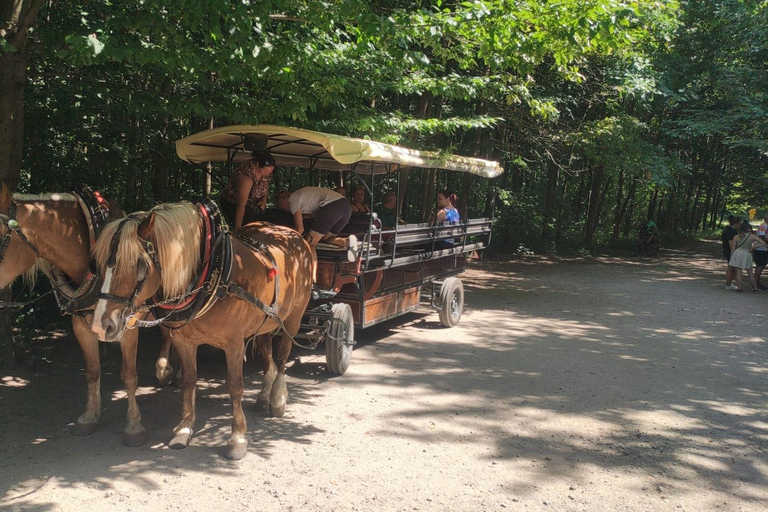 Bratislava: A Fairy Tale Day in Moravia’s Wine Country - CZ Private Group - from Bratislava
