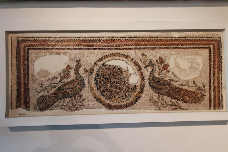 Tunis: Bardo Museum and Medina Guided Tour
