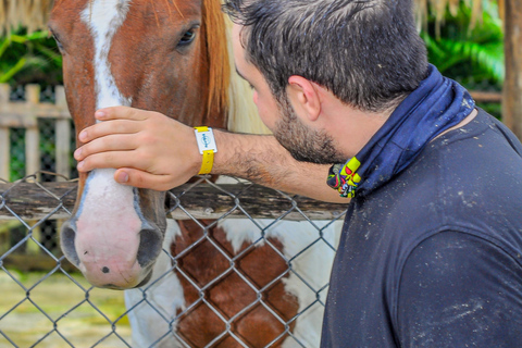 Punta Cana: Monkey Sanctuary, Farm & Cenote Swim Combo