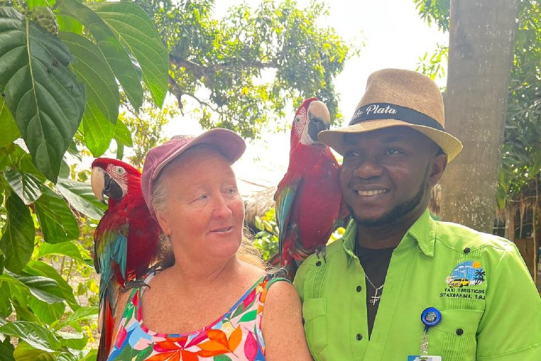 Puerto Plata: Coastal Horseback Ride and Local History