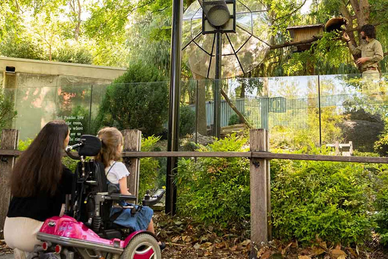 Tour Panda &amp; Friends e una giornata allo zoo di Adelaide