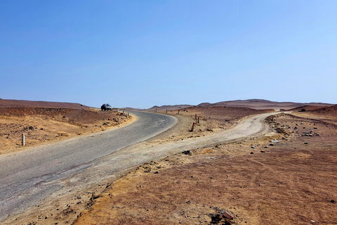 2 days from Lima Ballestas, Paracas, Huacachina and Nazca